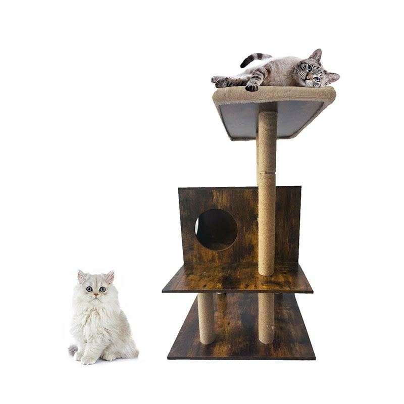 CATTO CATTO CATTO SISAL CATTO SISAL POSTRE SISAL CAMPORE ALBRO CAMPARE CAMPO CATTO CATTO CATTO SISAL CATTO SISAL POSTRE SISAL CAMPORE ALBRO CAMPARE CAMPO