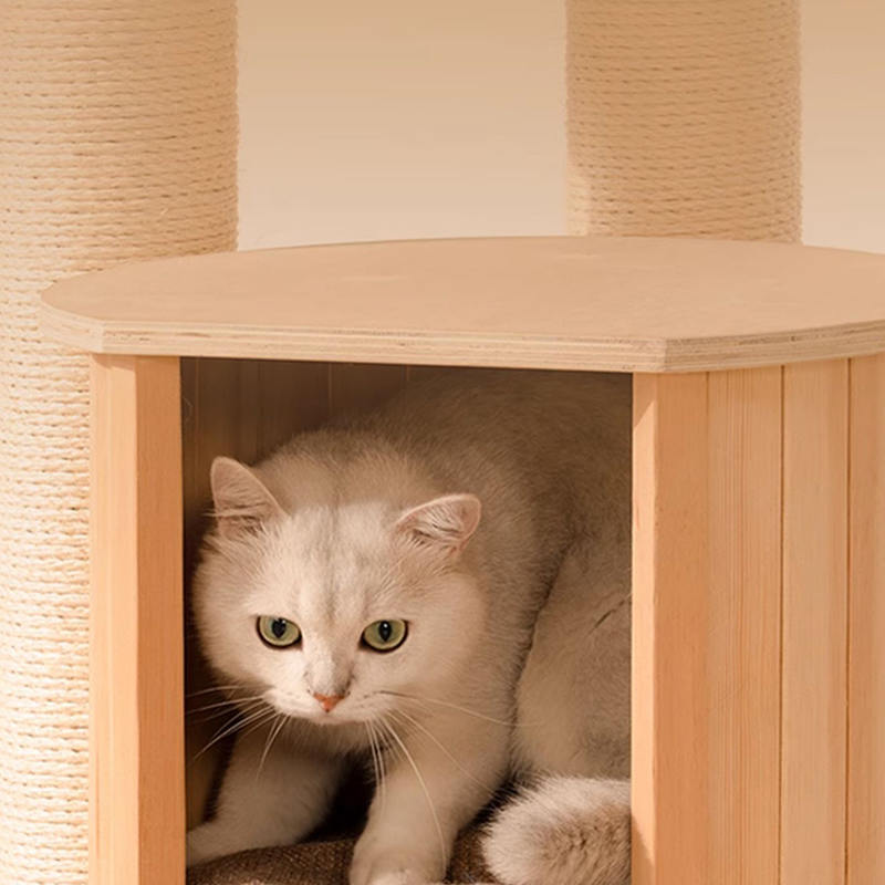 Torre dell'albero del gatto da pavimento al soffitto Torre dell'albero del gatto da pavimento al soffitto