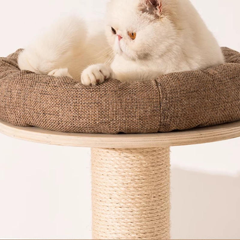 Torre dell'albero del gatto da pavimento al soffitto Torre dell'albero del gatto da pavimento al soffitto