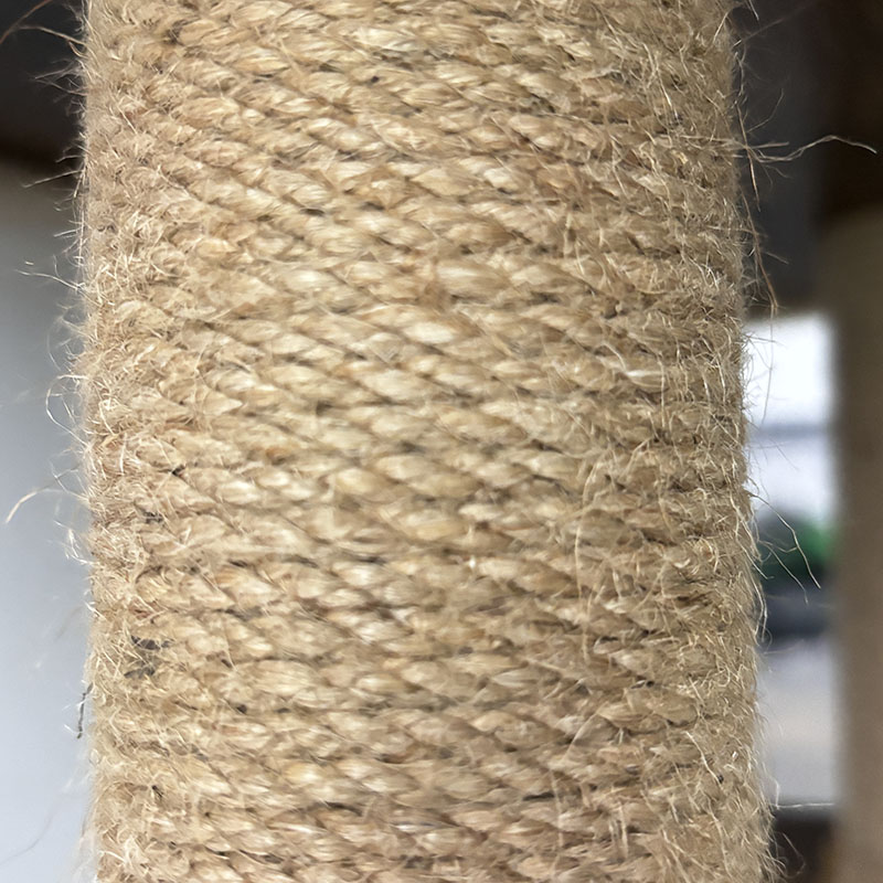 CATTO CATTO CATTO SISAL CATTO SISAL POSTRE SISAL CAMPORE ALBRO CAMPARE CAMPO CATTO CATTO CATTO SISAL CATTO SISAL POSTRE SISAL CAMPORE ALBRO CAMPARE CAMPO