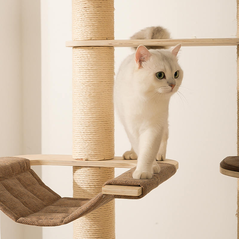 Torre dell'albero del gatto da pavimento al soffitto Torre dell'albero del gatto da pavimento al soffitto