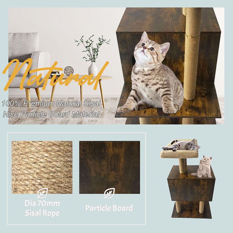 CATTO CATTO CATTO SISAL CATTO SISAL POSTRE SISAL CAMPORE ALBRO CAMPARE CAMPO CATTO CATTO CATTO SISAL CATTO SISAL POSTRE SISAL CAMPORE ALBRO CAMPARE CAMPO