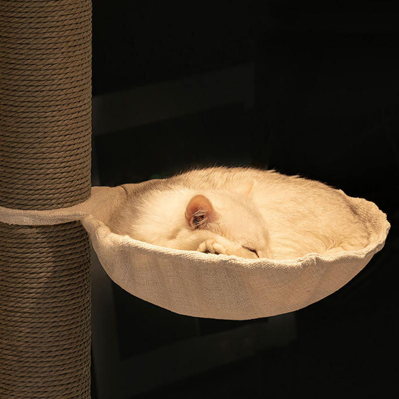 Torre Pavimento al soffitto Talbero gatto in legno in legno massiccio interno Torre Pavimento al soffitto Talbero gatto in legno in legno massiccio interno