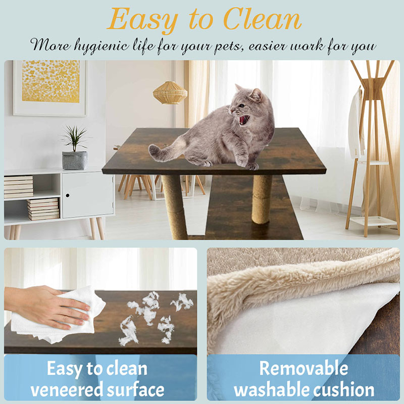 CATTO CATTO CATTO SISAL CATTO SISAL POSTRE SISAL CAMPORE ALBRO CAMPARE CAMPO CATTO CATTO CATTO SISAL CATTO SISAL POSTRE SISAL CAMPORE ALBRO CAMPARE CAMPO