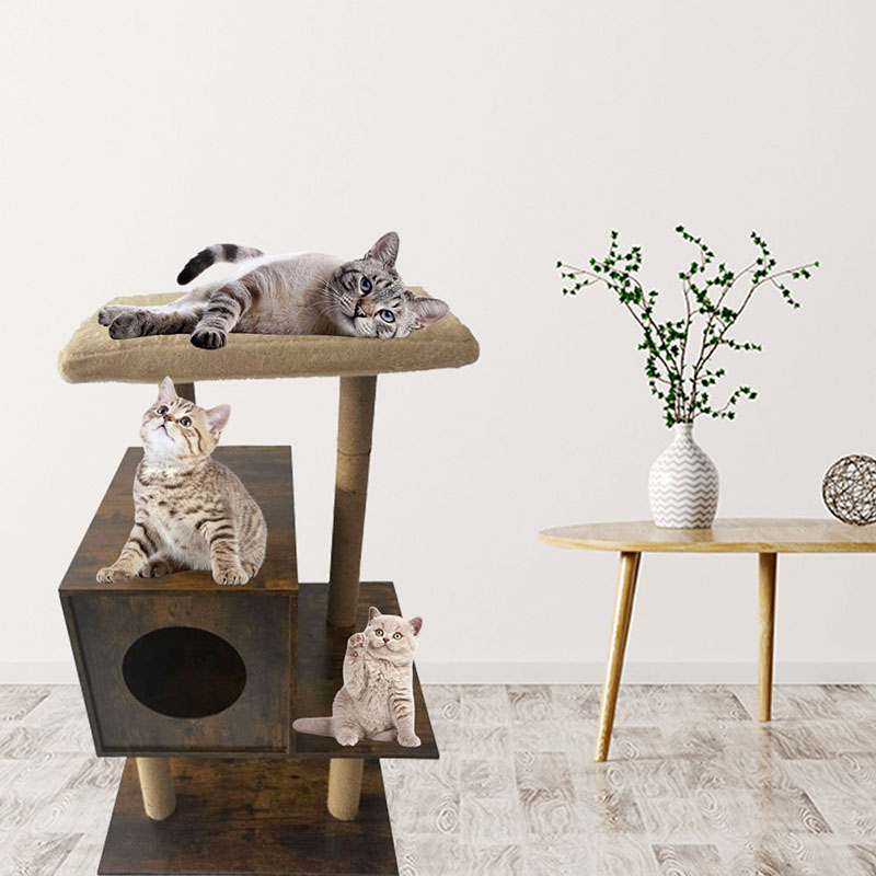 CATTO CATTO CATTO SISAL CATTO SISAL POSTRE SISAL CAMPORE ALBRO CAMPARE CAMPO CATTO CATTO CATTO SISAL CATTO SISAL POSTRE SISAL CAMPORE ALBRO CAMPARE CAMPO