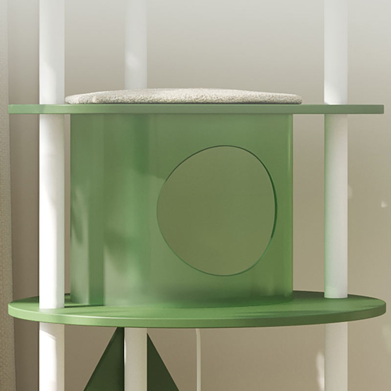 Talbero gatto gatto gatto gatto gatto gatto verde più alto Talbero gatto gatto gatto gatto gatto gatto verde più alto