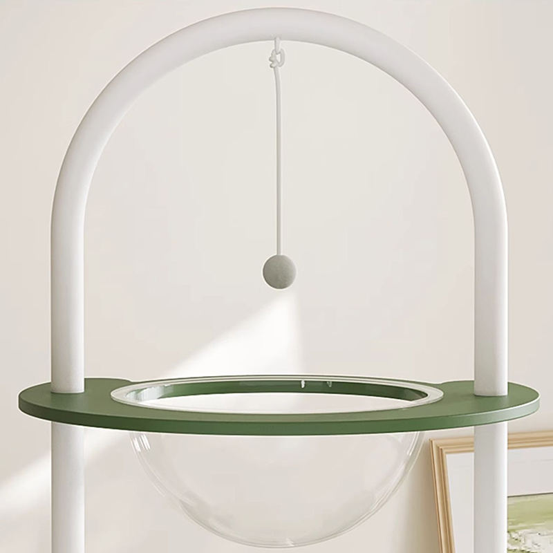 Talbero gatto gatto gatto gatto gatto gatto verde più alto Talbero gatto gatto gatto gatto gatto gatto verde più alto