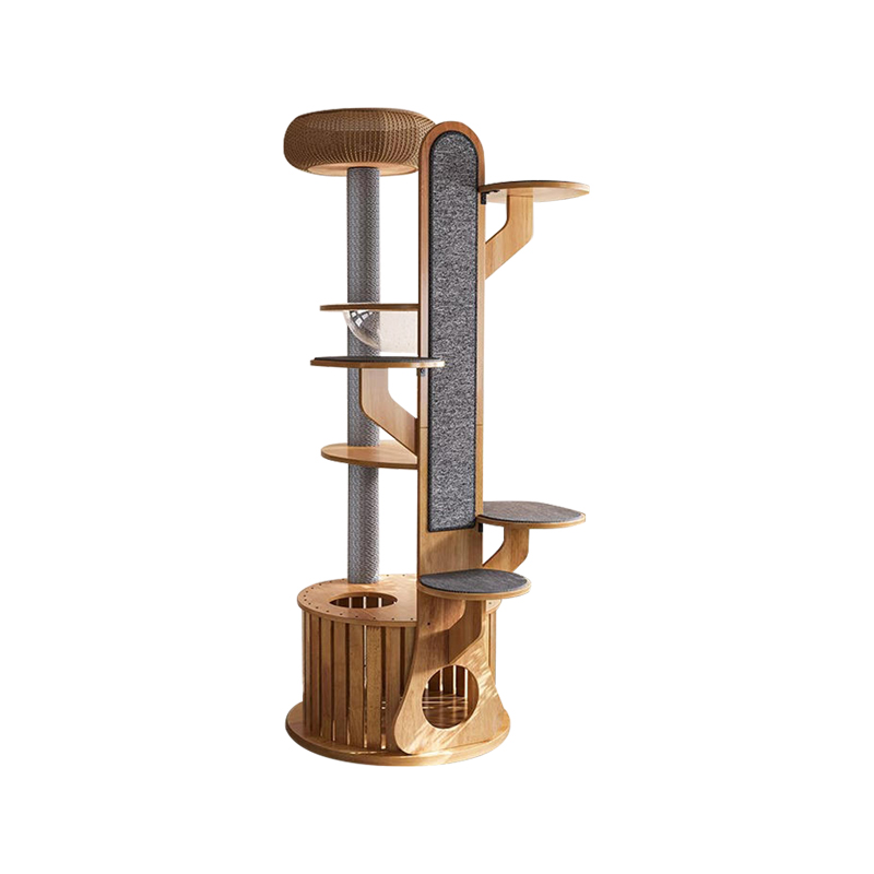 Cactus a forma di legno di arrampicata in legno albero di gatto solido con capsula